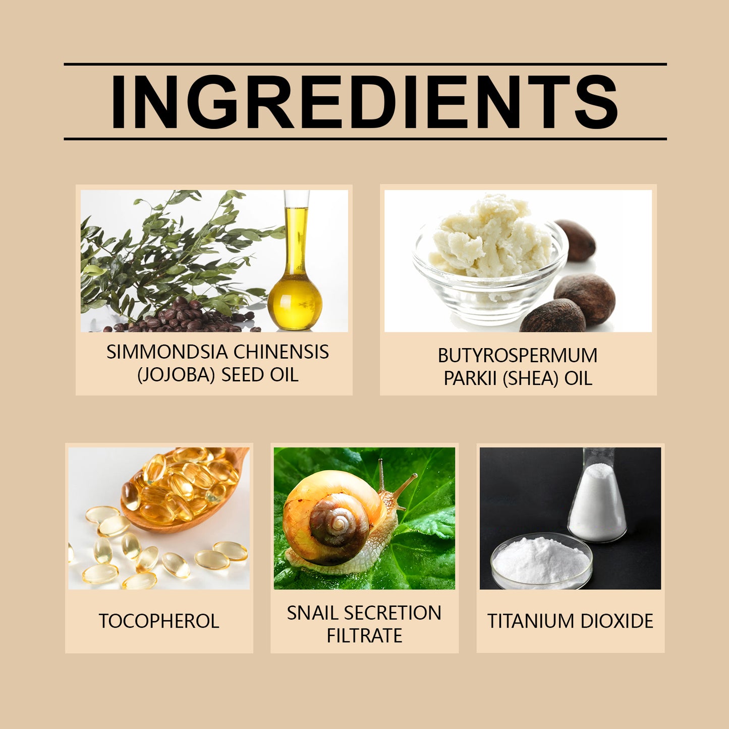 Eelhope Gold Snail Protective Bb Cream, Moisturizing Concealer Skin Tone Natural Color Waterproof, Sweat Resistant And Makeup Free